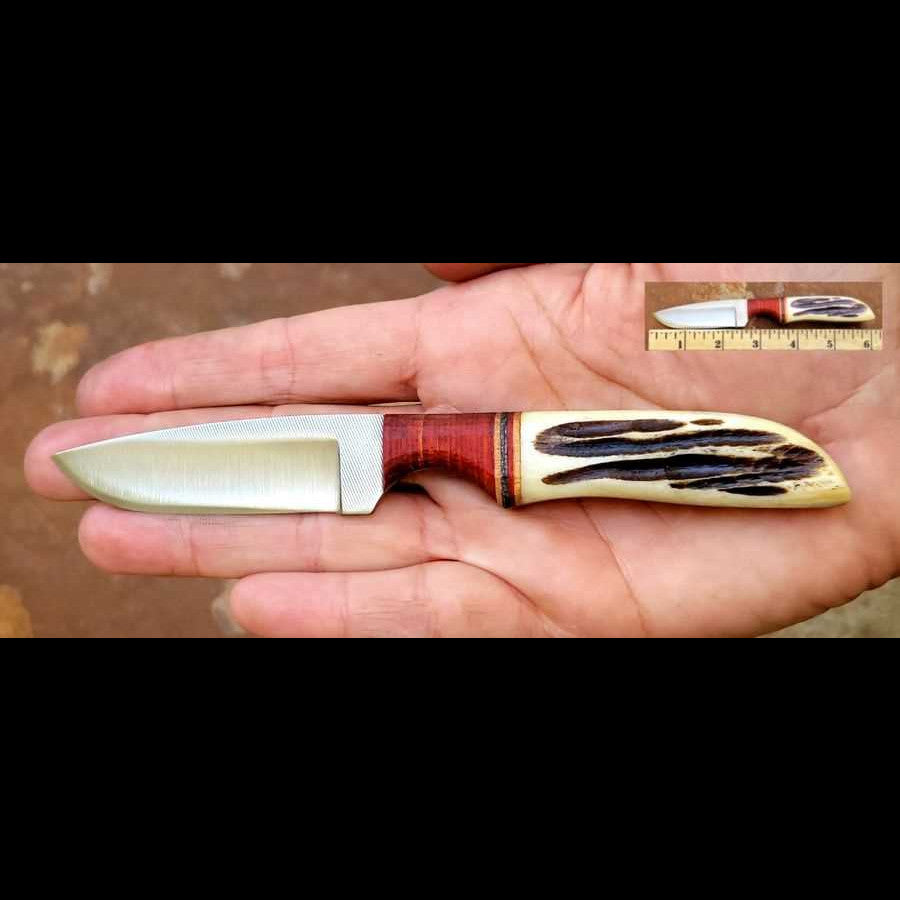 2 1/2" Blade Knife Bone and Rosewood Handle Knife