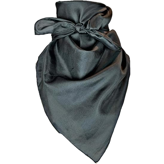 Solid color best sale silk scarves