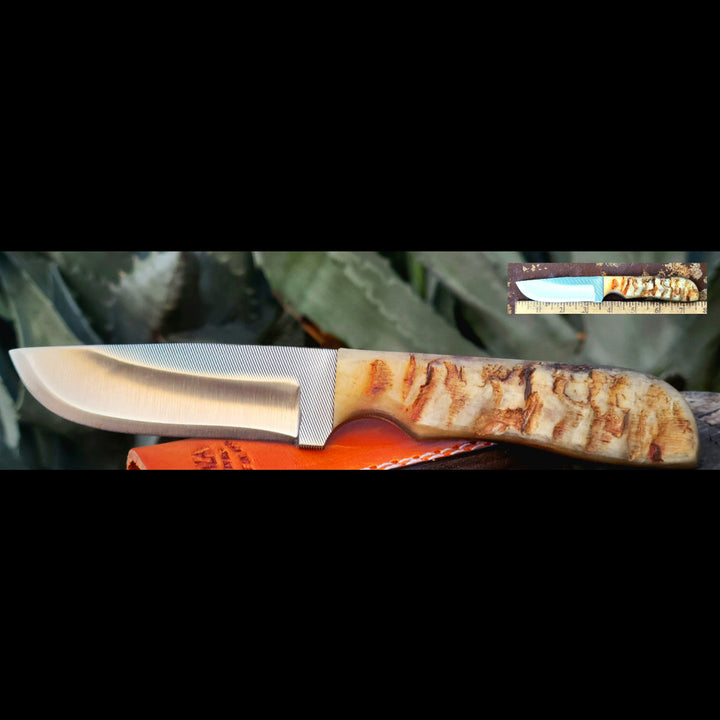 3 3/4" Blade Belt Knife with Sheep Horn Handle