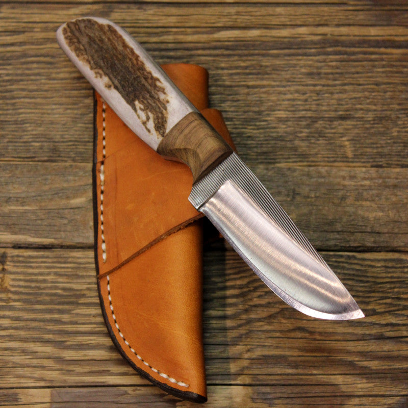 3 3/4" Blade Knife Bocote and Elk Handle