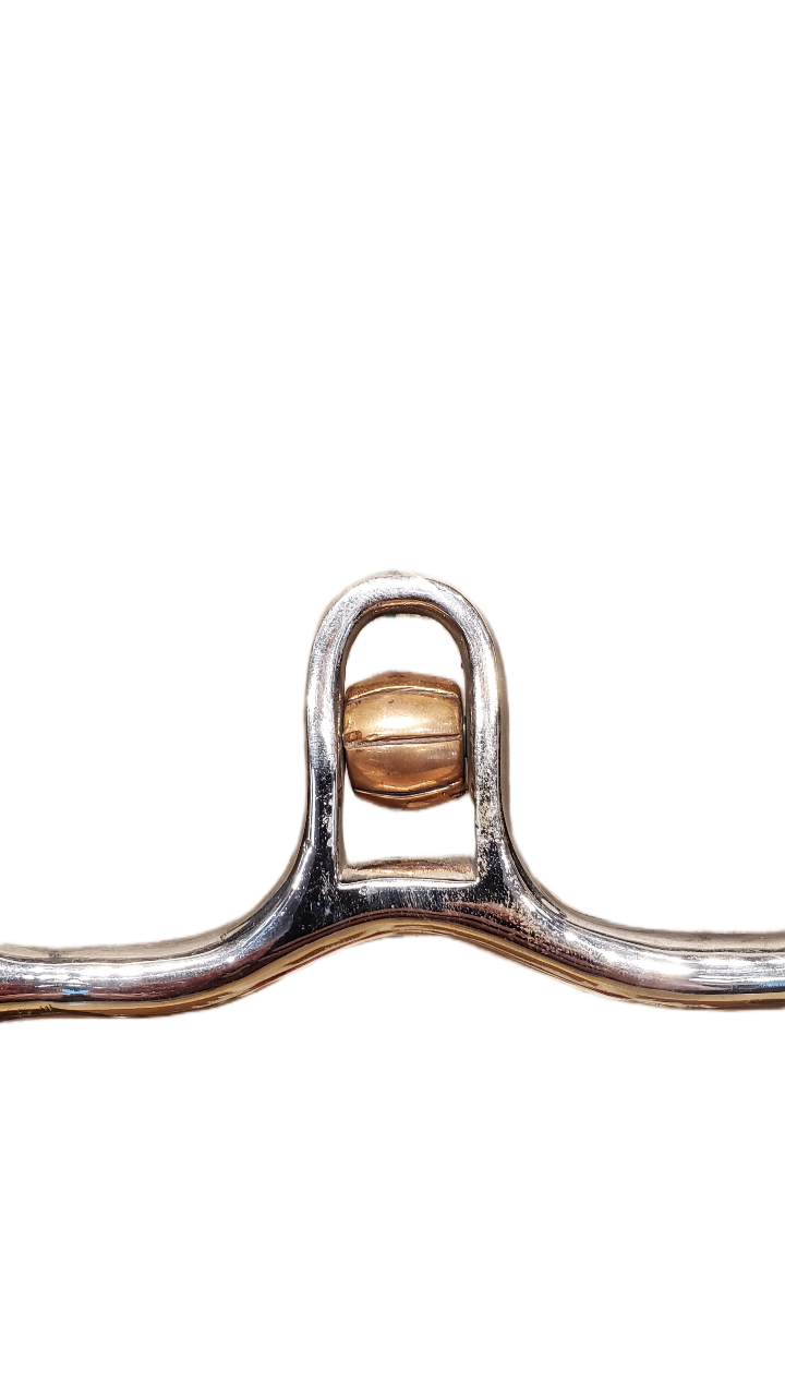 Silver Mounted San Joaquin Bit