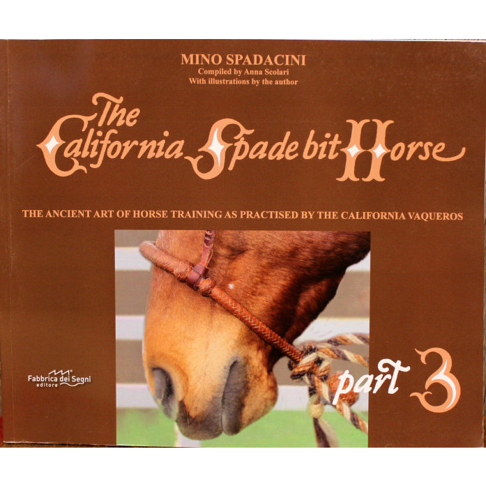 California Spade Bit Horse - Part 3