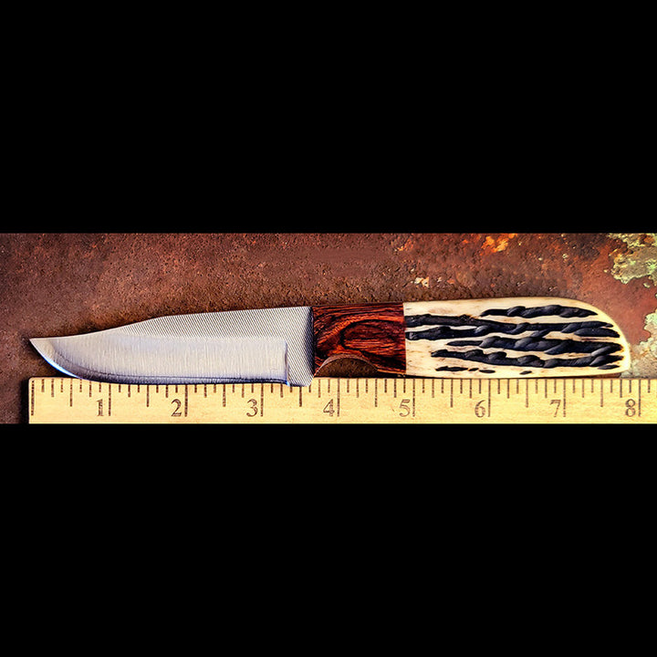 3 3/4" Blade Knife Walnut and Bone Handle