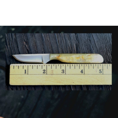 2 1/4" Mini Full Sheep Horn Handle Knife