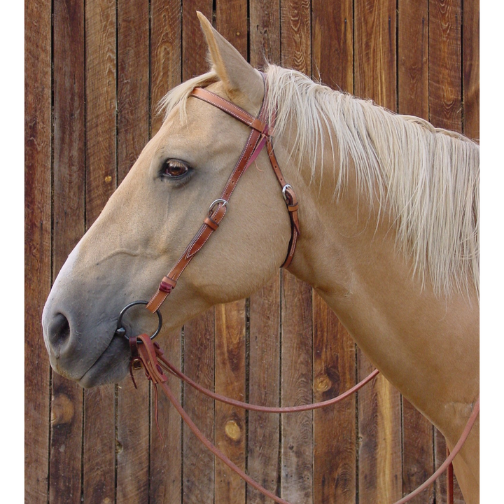 Roll Button Browband Headstall