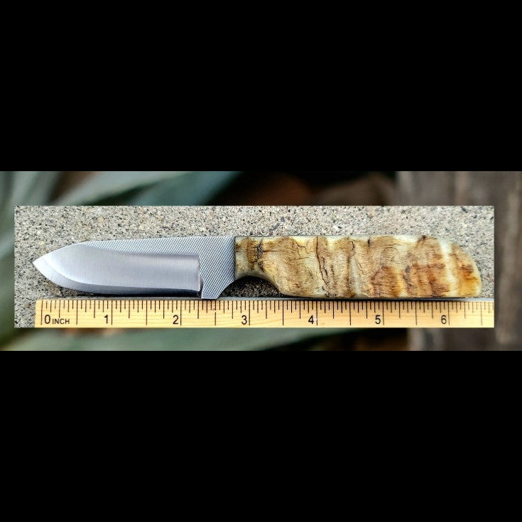 2 3/4" Blade Knife with Sheep Horn Handle