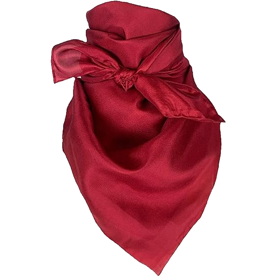 Solid Silk Scarves Wild Rags Custom Cowboy Shop