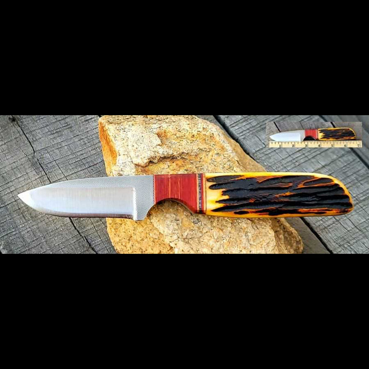 2 3/4" Blade Knife Amber Jigged Bone and Rosewood Handle