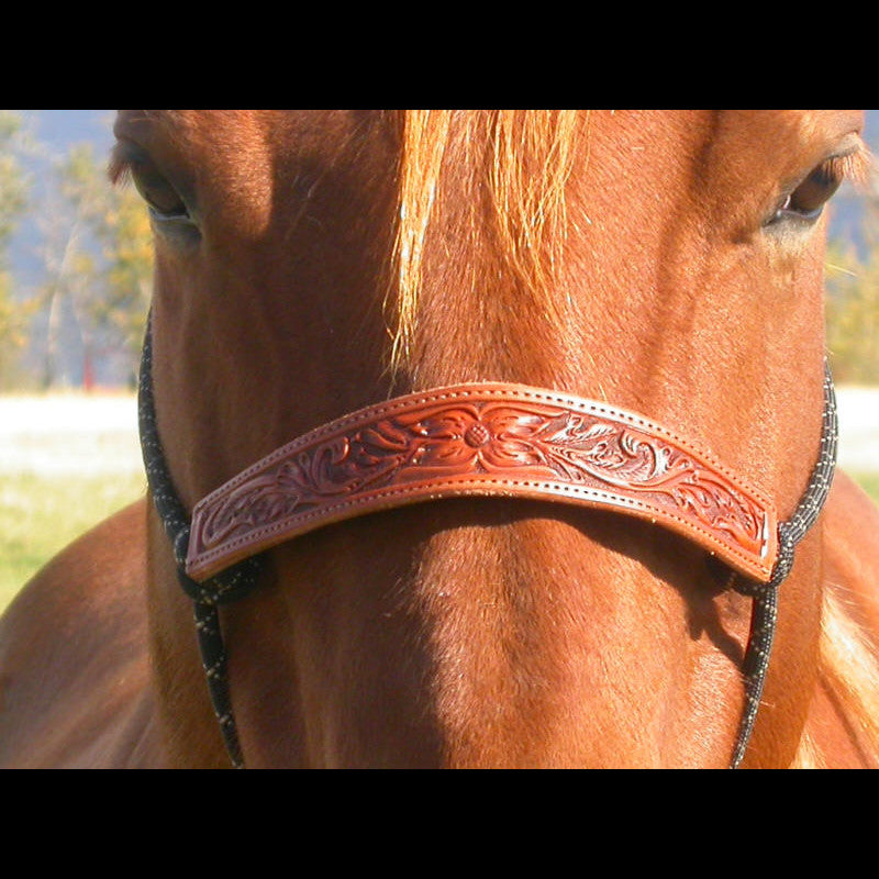 Double Diamond Halter with Floral Noseband