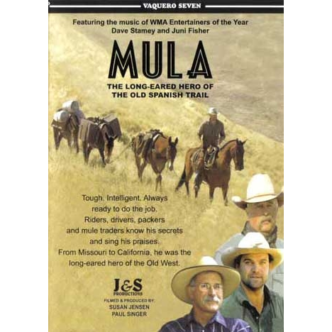 Mula DVD